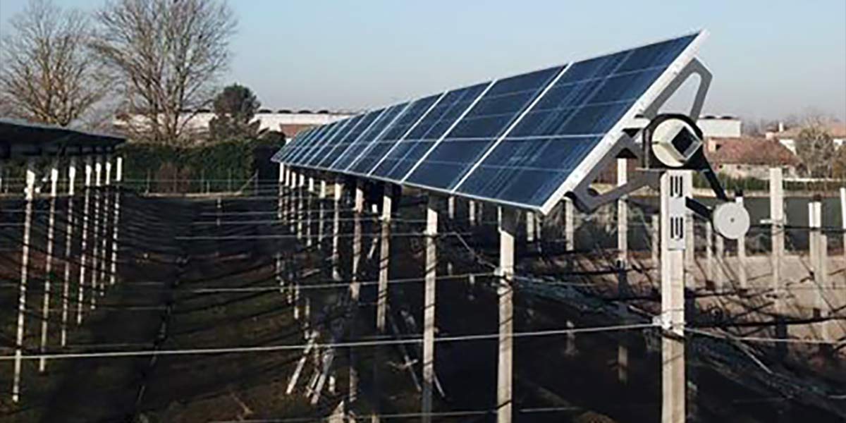 Nuovo accordo per l'agrivoltaico italiano